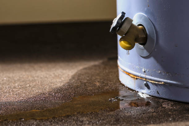 Best Fire Damage Restoration  in Jamestown, ND