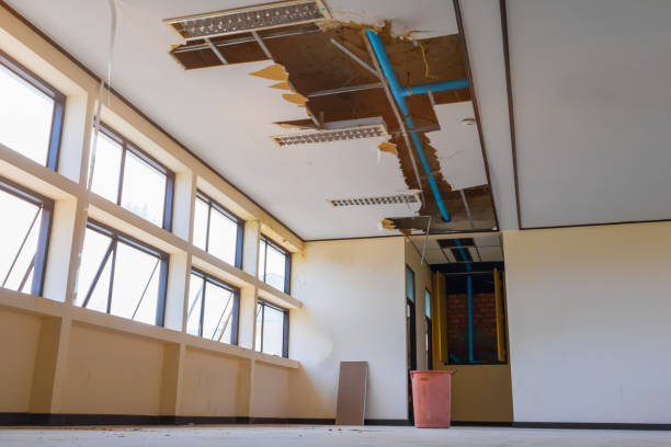 Best Local water damage restoration  in Jamestown, ND