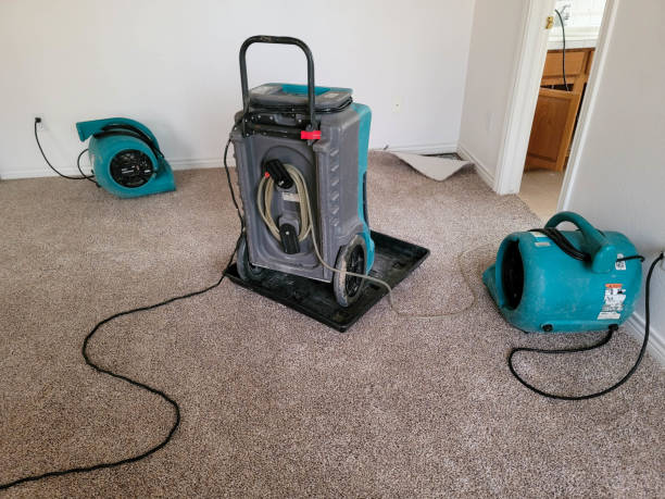 Best Ceiling water damage repair  in Jamestown, ND