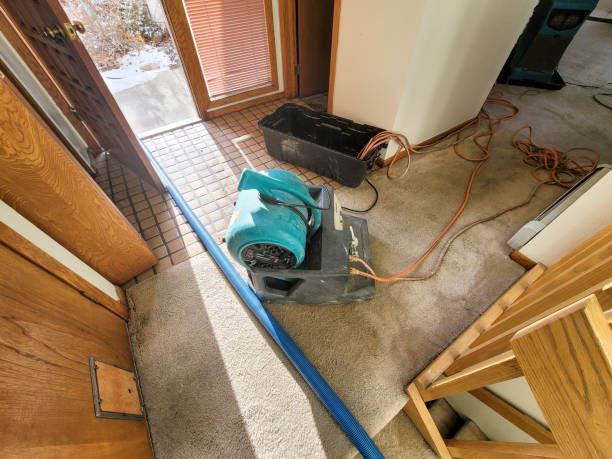  Jamestown, ND Water damage restoration Pros