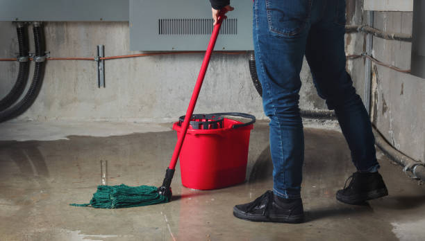 Best Carpet water damage restoration  in Jamestown, ND