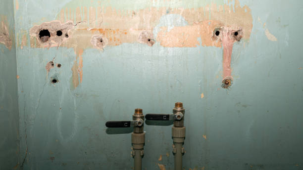 Best Flood restoration services  in Jamestown, ND