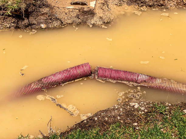 Best Flood damage cleanup  in Jamestown, ND