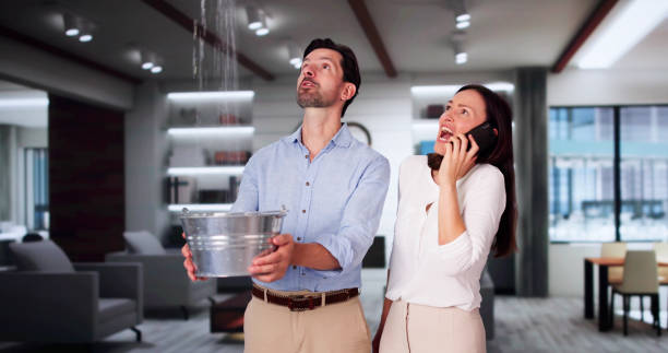 Best Flooded house restoration  in Jamestown, ND